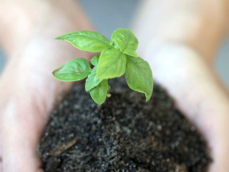 Understanding Hoarding Cleanup in Poulsbo